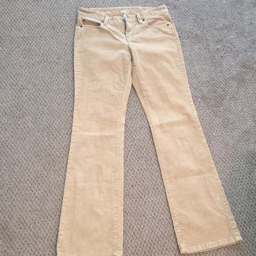 Ann Taylor LOFT Curvy Bootcut Corduroy Pants